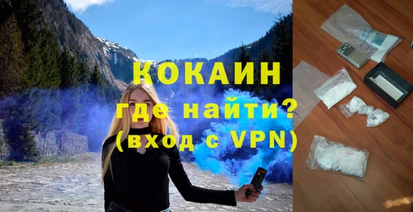 прущие грибы Михайловск