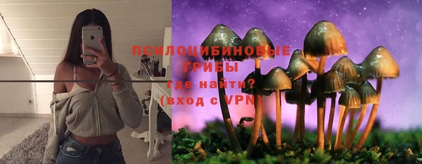 стафф Армянск